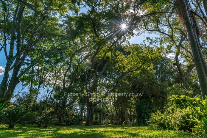 Hidden Gem in Chisipite