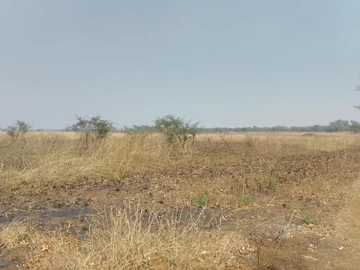 Farm & Agricultural Land
