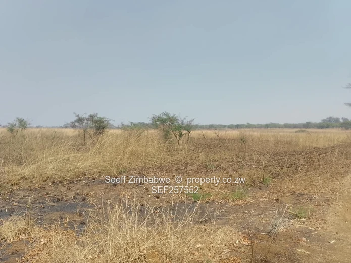 109,174ha Whitecliff Farm — Subdivision Potential 