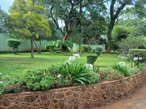 2 Bedroom Flat & Apartment