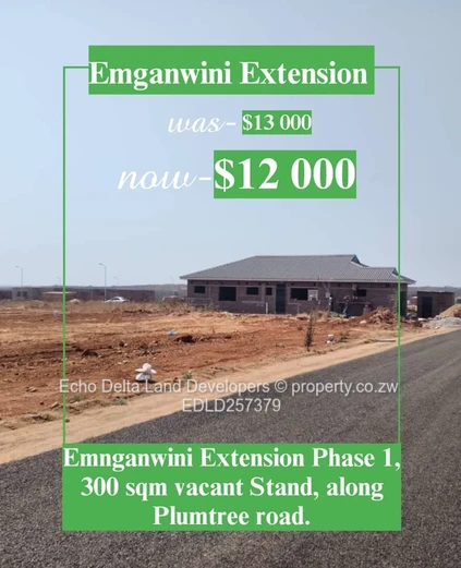 Bellevue Emganwini Extension High Density Stands 