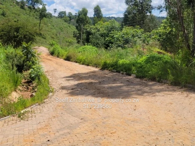 Prime Stands Available in Carrick Creagh! ??