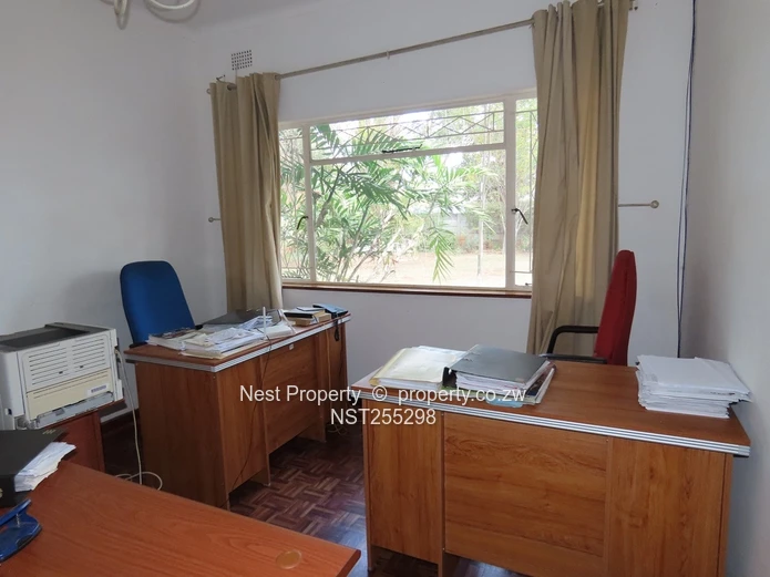 Position and Potential in Alexandra Park!
