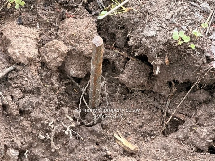 Plots for sale in Chegutu 