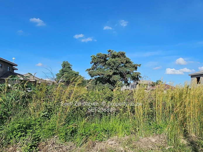 Investment opportunity in Arlington! (Sole Mandate)