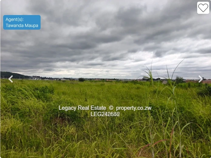 . Exclusive Haydon Park Residential Plots – Clean Paperwork & Ready Deeds