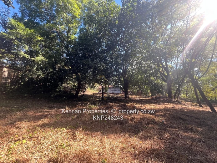 2.5 acres of land on North Road