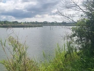 Farm & Agricultural Land