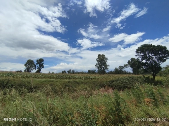 Commercial & Industrial Land