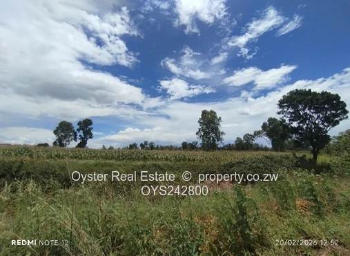 A total of 25,50 hectares with of various pieces of ranging from to 5,863 square metres  to 6 hect