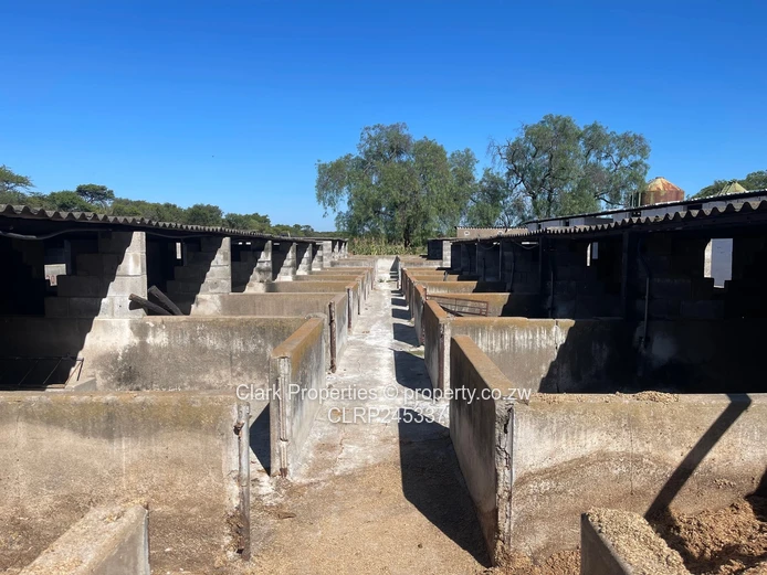 Multipurpose Farm Close To Bulawayo