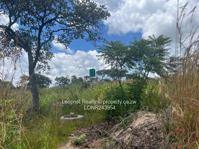 Crowhill Views 1000m² Stand