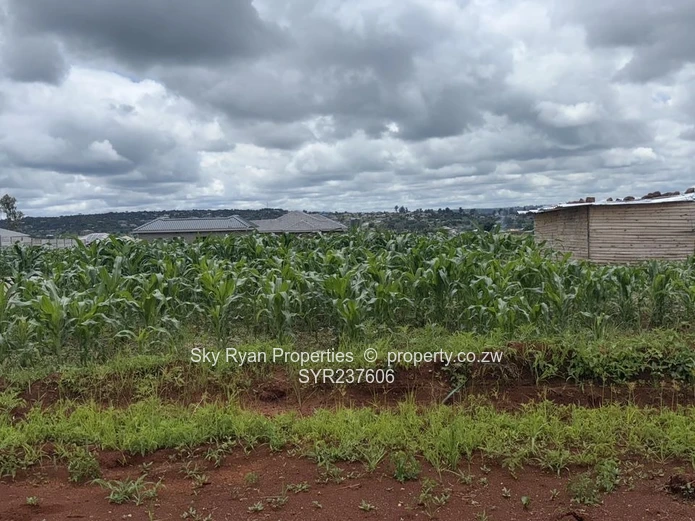 Crowhill Stand For Sale