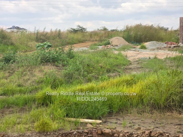 1000m² Westgate Stand — Gravel Road