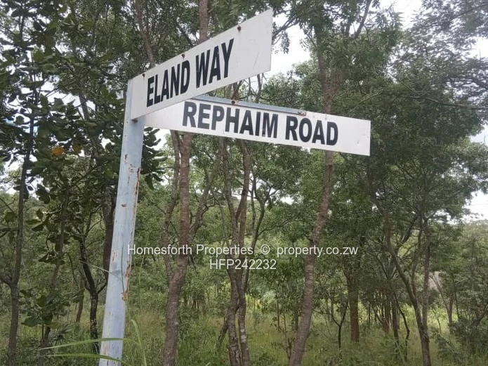 Carrick creagh stand for sale (Sole Mandate)