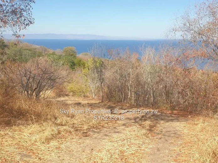 Kariba Stand For Sale