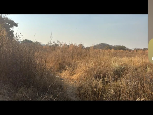 Commercial & Industrial Land