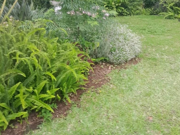 5 Bedroom Townhouse Complex