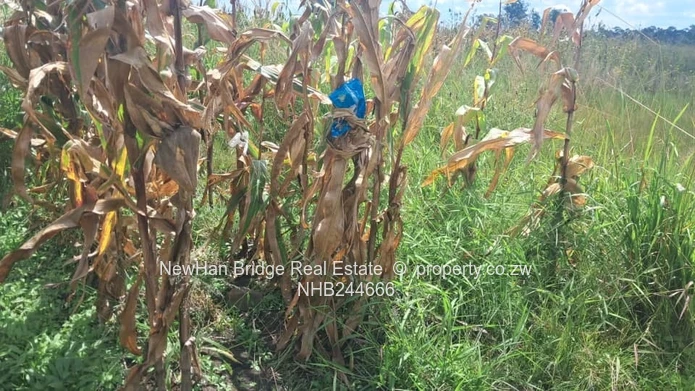 Manresa Residential Stand For Sale