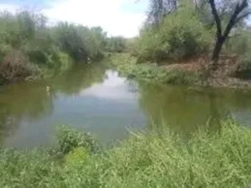 Farm & Agricultural Land