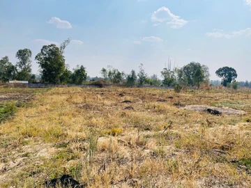 Commercial & Industrial Land