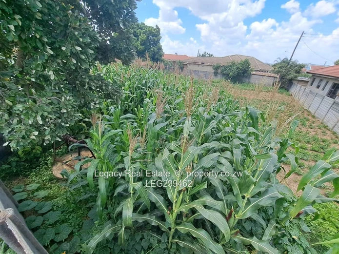 Granary Park Harare –corner stand for sale measuring 569sqm