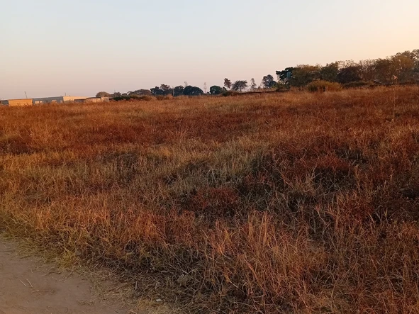 Commercial & Industrial Land