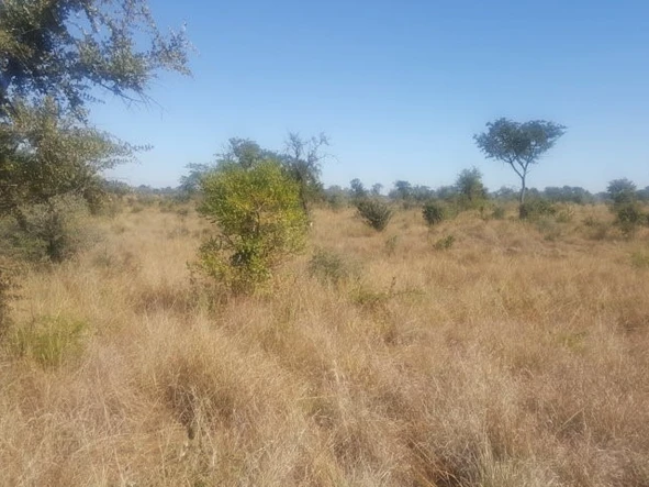Commercial & Industrial Land