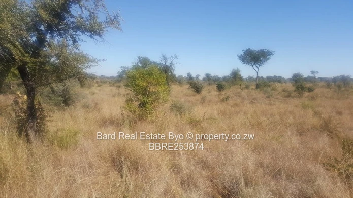 Commercial Stand For Sale – Victoria Falls (Sole Mandate)