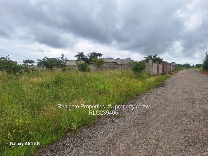 Sunninghill Corner Stand