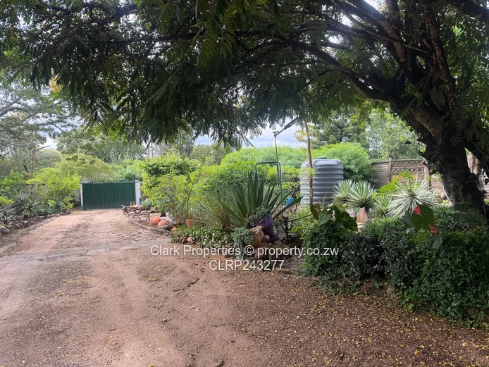 Excellent Investment 