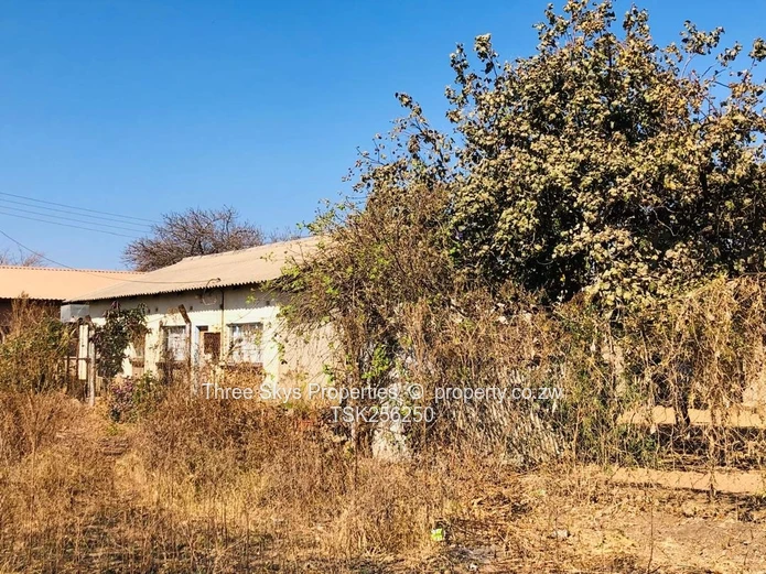 Mvuma Mushayavudzi