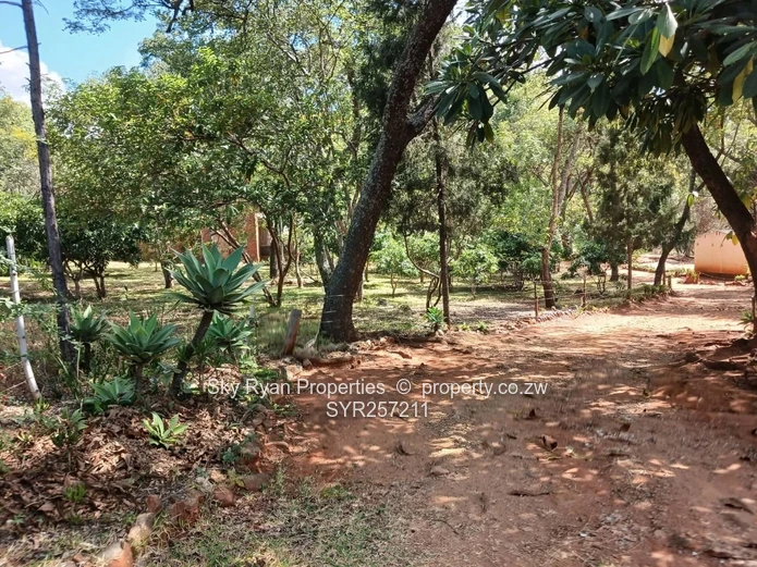 Christon Bank Property For Sale