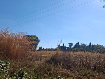 Farm & Agricultural Land