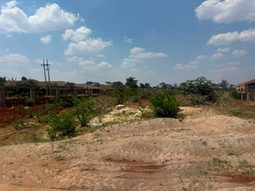 Stands & Residential Land