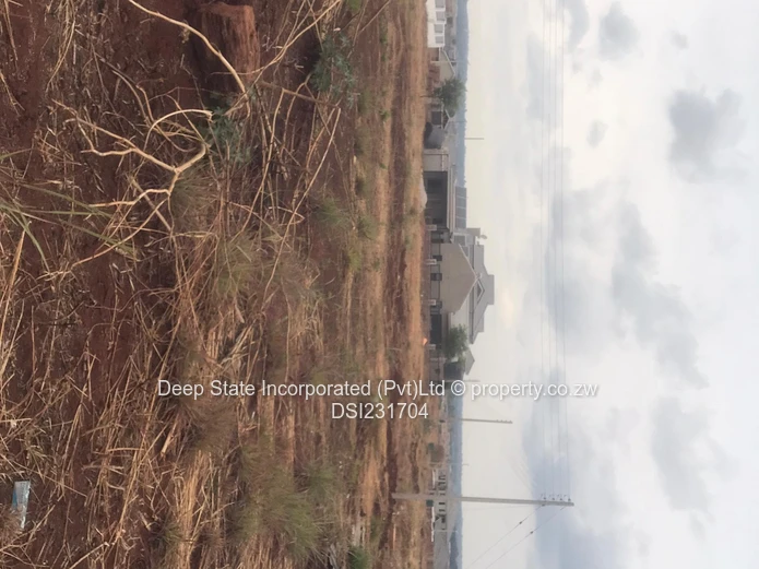 Nyeredzi stand for sale 