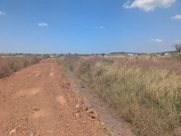 Land