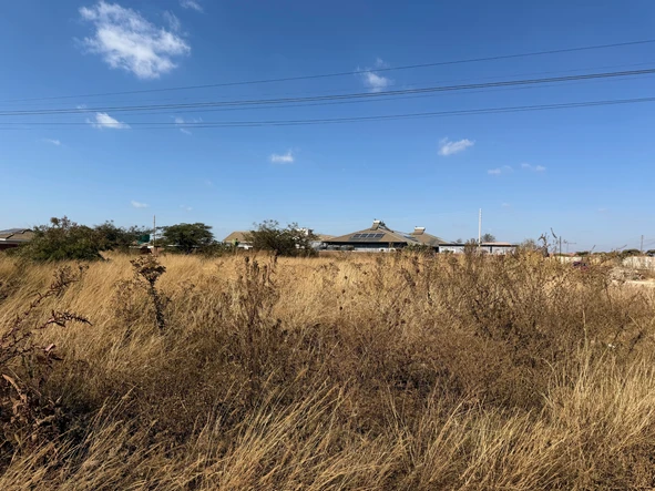 Stands & Residential Land