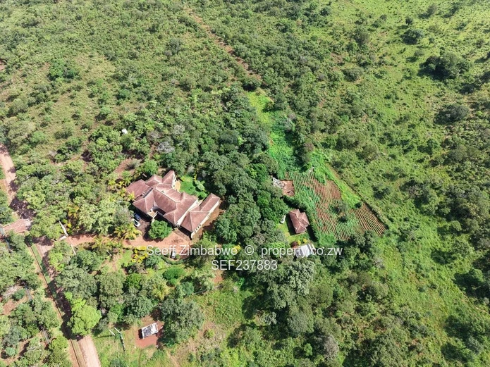 Exclusive 4000 sqm Panhandle Stand #2 for Sale in Shawasha