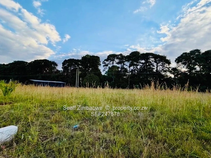 Pomona City Stand- Ready to build (Sole Mandate)