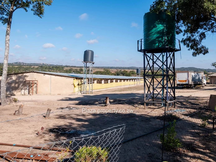 Marondera Prime 29-Hectare Farm – An Outstanding Investment Opportunity
