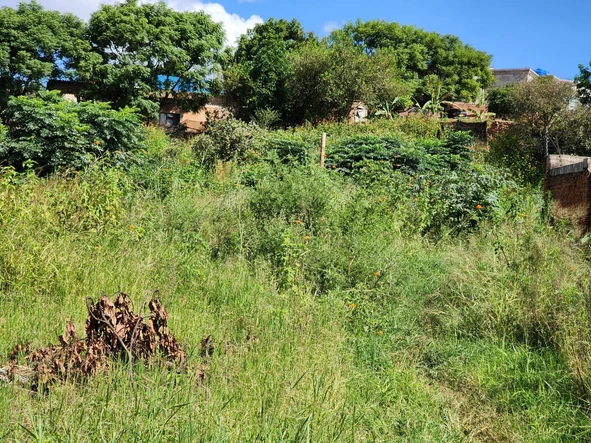 Commercial & Industrial Land