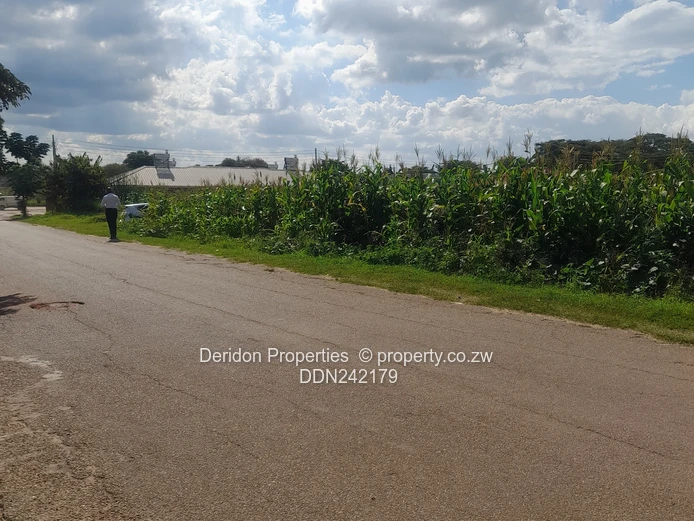 Build your dream home 