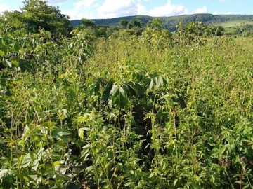 Farm & Agricultural Land