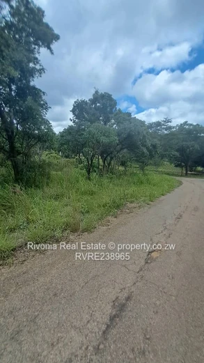 2000m² tree-lined stand with new paved road — Carrick Creagh