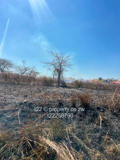 Sawara hills stands for sale with Title Deeds!!!