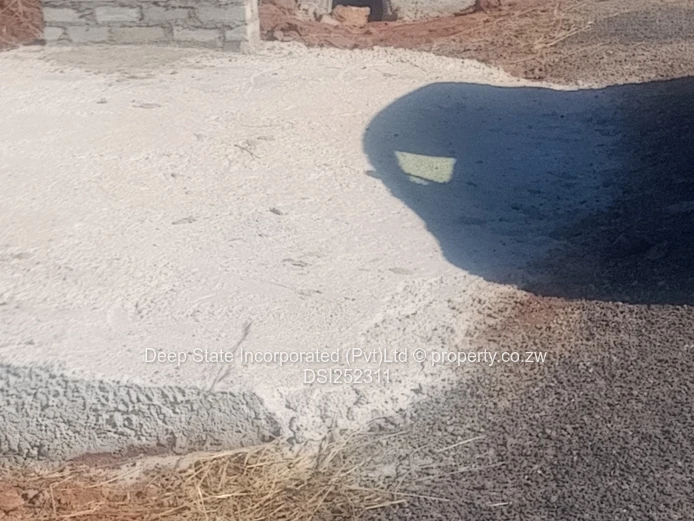 Nyeredzi stand for sale 