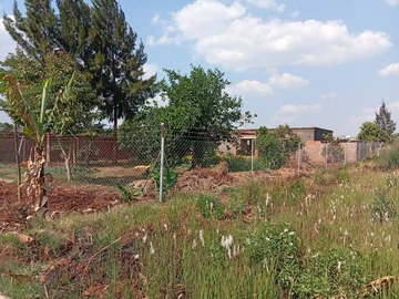 Stands & Residential Land
