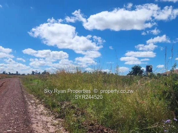 Spitzkop Stands For Sale