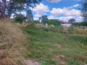 Commercial & Industrial Land